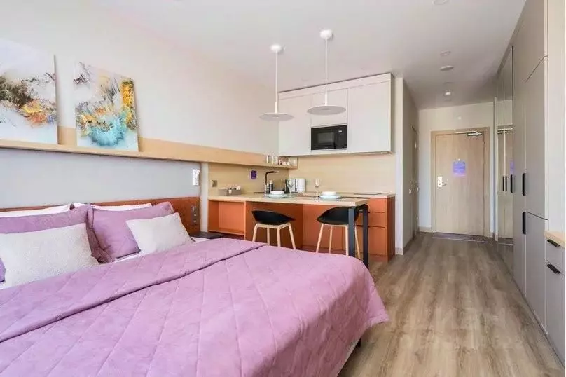 1-к кв. Санкт-Петербург бул. Измайловский, 1к2 (26.0 м) - Фото 2