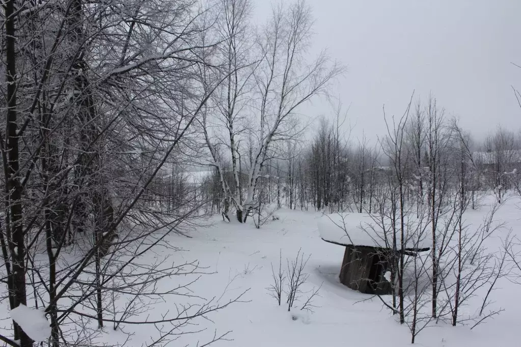 Участок в Москва д. Юрьево, ул. Липовая, 1 (10.26 сот.) - Фото 2