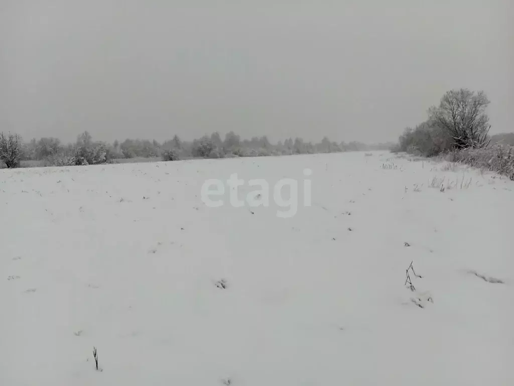 Участок, 10 сот., поселения (ижс) - Фото 1