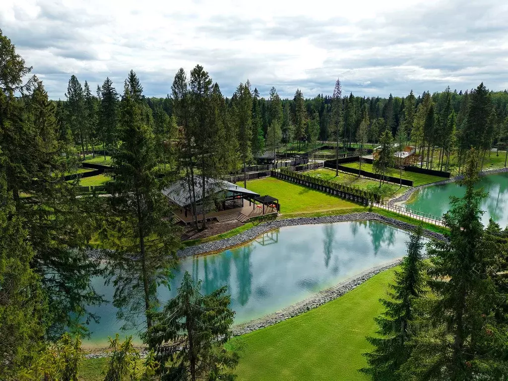 Участок в Московская область, Клин городской округ, д. Поджигородово  ... - Фото 1