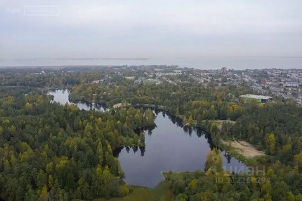 Участок в Ленинградская область, Ломоносовский район 3 (20.0 сот.) - Фото 1