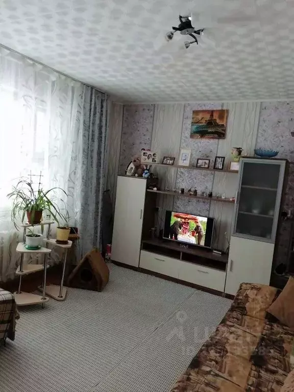 2-к кв. Иркутская область, Усть-Илимск ул. Георгия Димитрова, 13 (40.9 ... - Фото 1