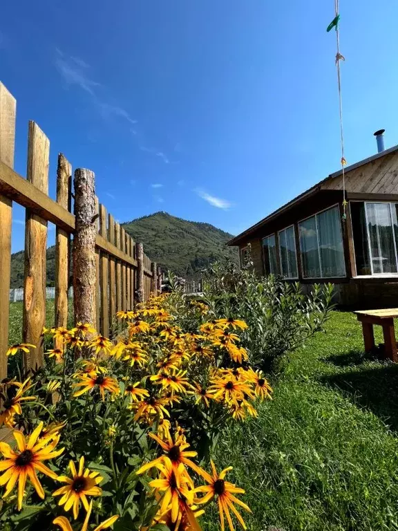 Дом в Алтай, Чемальский район, с. Анос  (130 м) - Фото 1