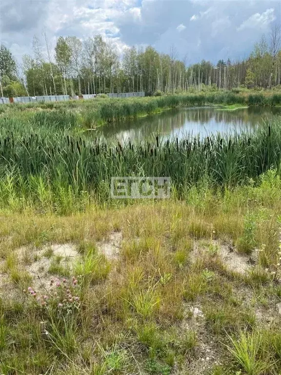 Участок в Московская область, Богородский городской округ, д. Стулово  ... - Фото 1