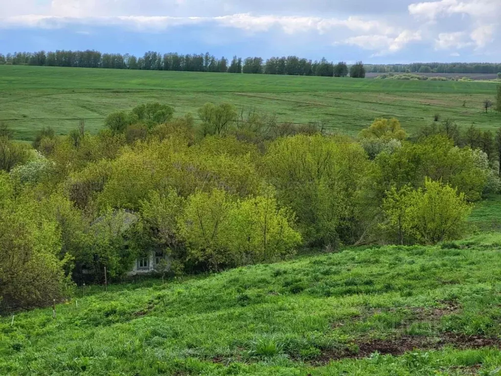 Тетюшский Район Фото