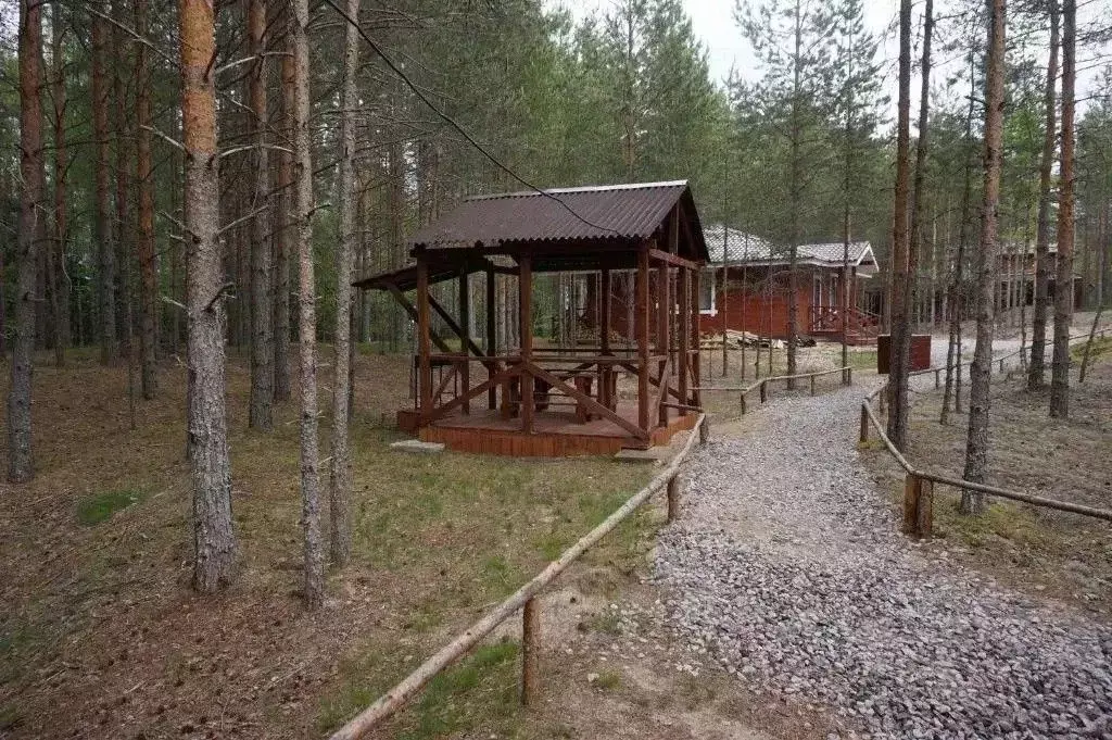 Комната Ленинградская область, Лодейнопольское городское поселение, д. ... - Фото 2