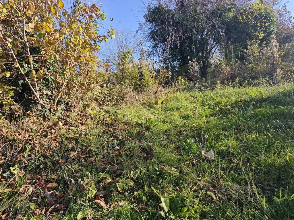 Участок в Краснодарский край, Сочи городской округ, с. Красная Воля  ... - Фото 2