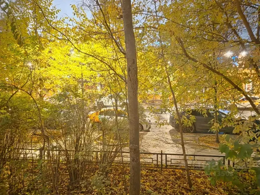 Студия Москва Миусская пл., 5 (39.0 м) - Фото 2