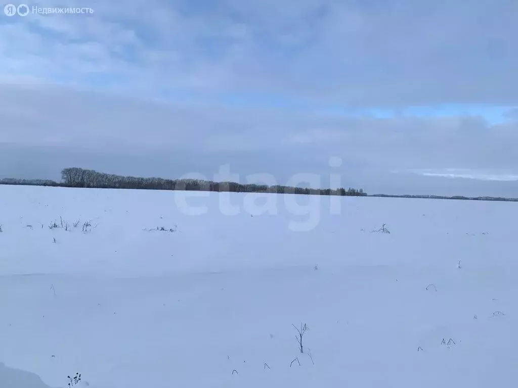 Участок в Колыванский район, деревня Малый Оеш (8 м) - Фото 2