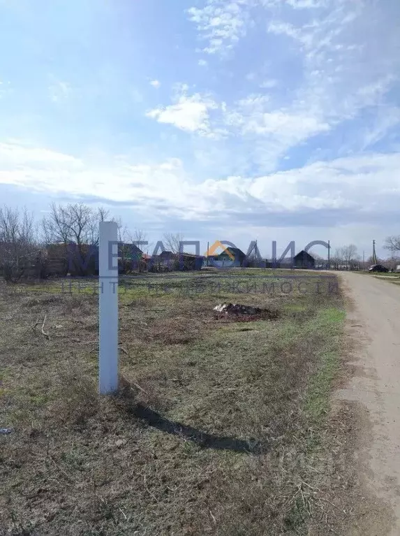 Участок в Саратовская область, Балаковский район, с. Маянга ул. ... - Фото 2