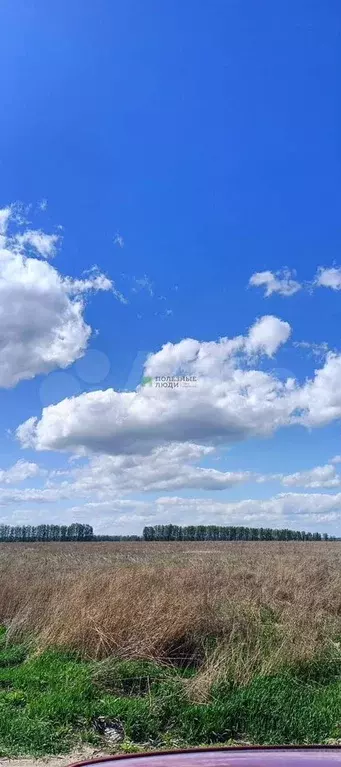 Участок 11,1 сот. (личное подсобное хозяйство (лпх)) - Фото 1
