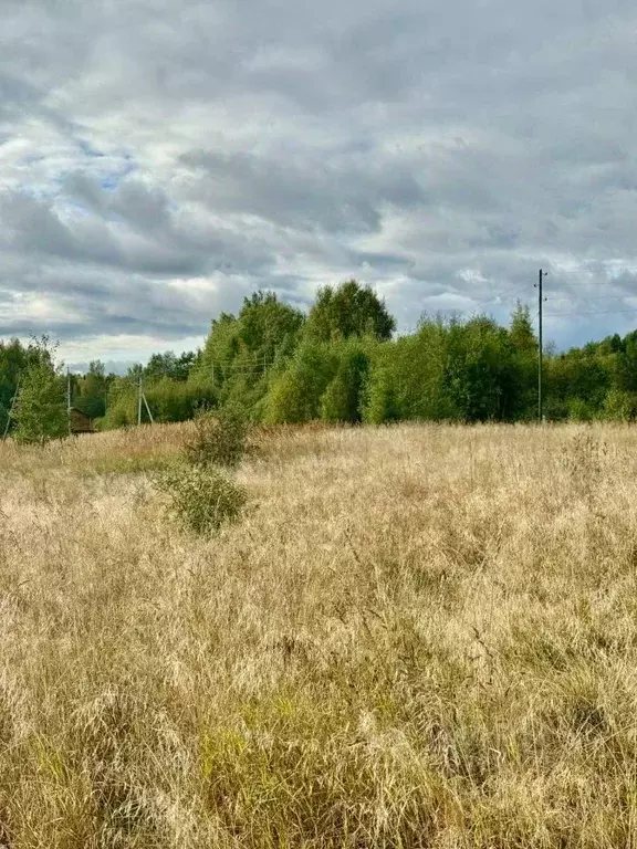 Участок в Пермский край, Краснокамский муниципальный округ, пос. ... - Фото 2