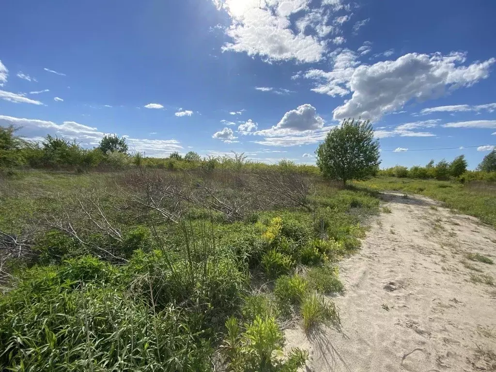 Участок в Калининградская область, Зеленоградский муниципальный округ, ... - Фото 2