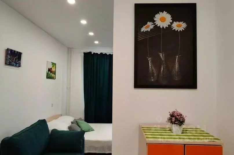 1-к кв. Московская область, Домодедово городской округ, с. Ям ул. ... - Фото 2