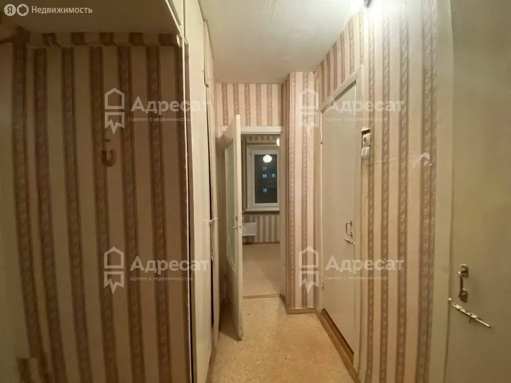 1-комнатная квартира: Волгоград, Новоузенская улица, 10 (36 м) - Фото 1