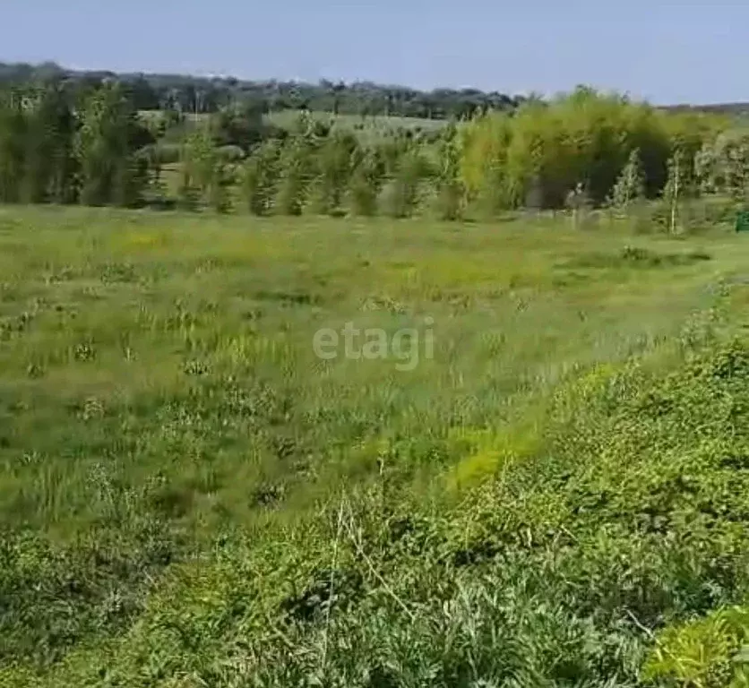 Дом в Татарстан, Альметьевск ул. 70 лет Победы (85 м) - Фото 1