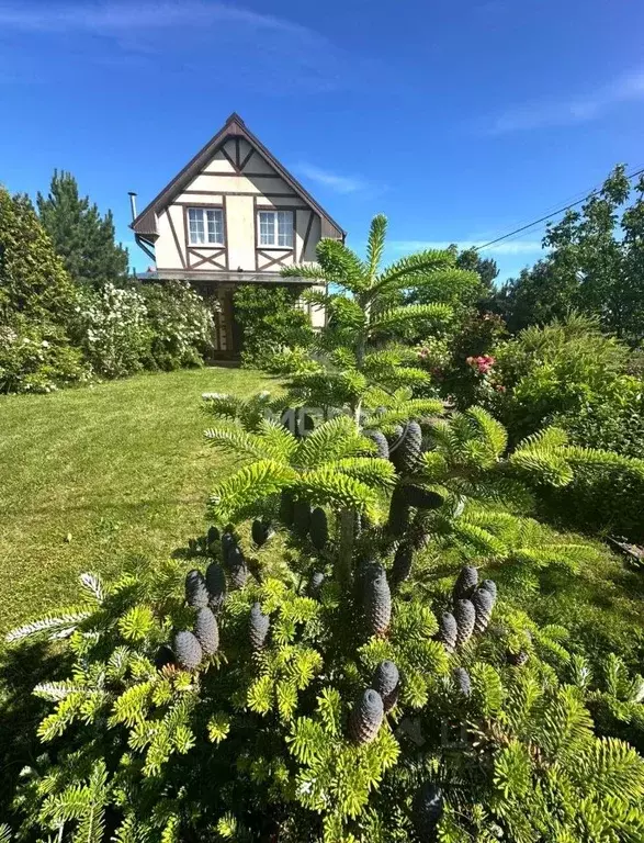 Дом в Калининградская область, Зеленоградский муниципальный округ, ... - Фото 2