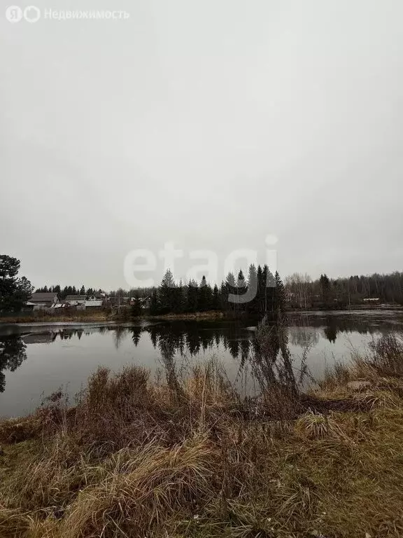 Участок в Пермский край, Краснокамский муниципальный округ, СТ ... - Фото 2