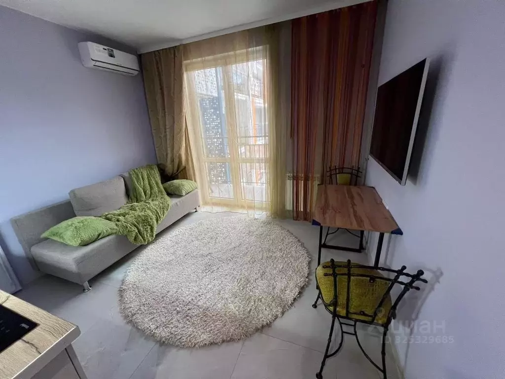 1-к кв. Краснодарский край, Сочи ул. Искры, 88к8 (28.0 м) - Фото 1