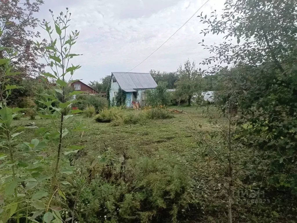 Участок в Владимирская область, Суздальский район, Новоалександровское ... - Фото 0
