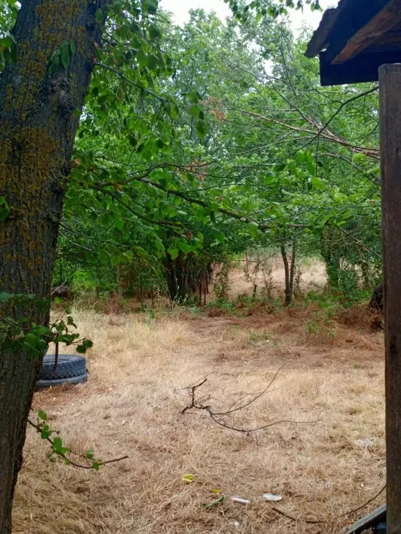 Участок в Ростовская область, Октябрьский район, Бессергеневское ... - Фото 2