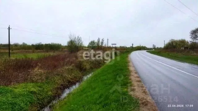 Участок в Калининградская область, Гвардейск  (12.0 сот.) - Фото 2