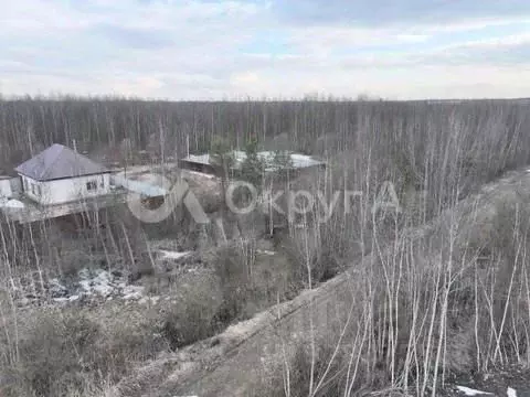 Участок в Московская область, Богородский городской округ, Ясень СНТ ... - Фото 2