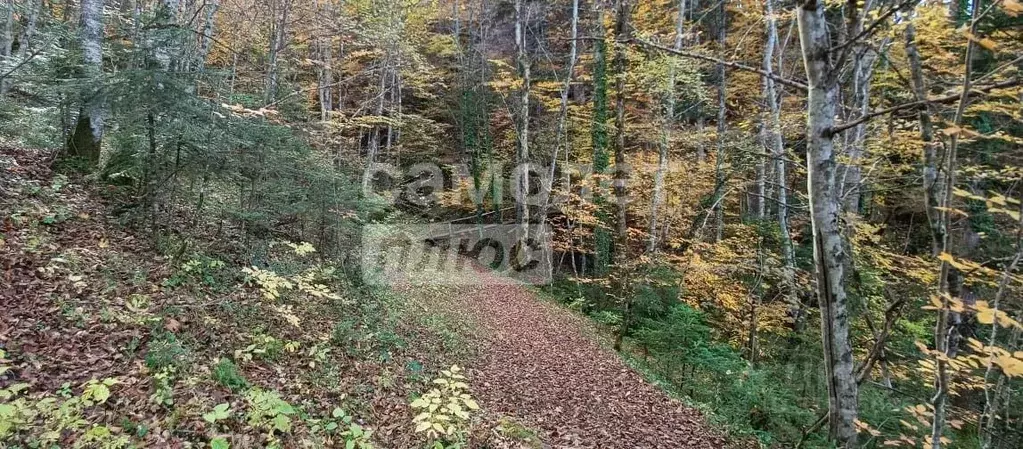 Участок в Краснодарский край, Апшеронский район, Мезмайское с/пос, ... - Фото 0