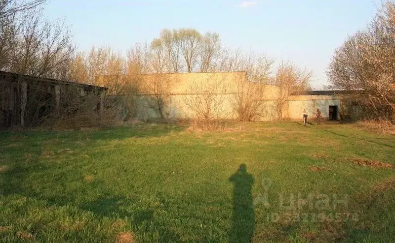 Производственное помещение в Курская область, Кореневский район, ... - Фото 1