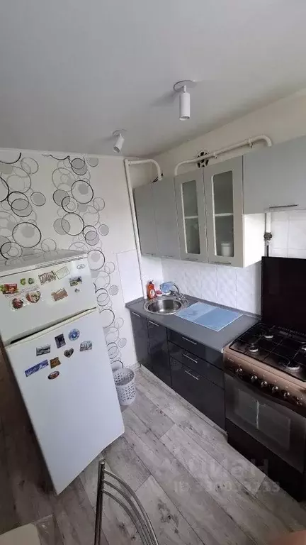 1-к кв. Башкортостан, Уфа ул. Ленина, 104 (31.5 м) - Фото 1