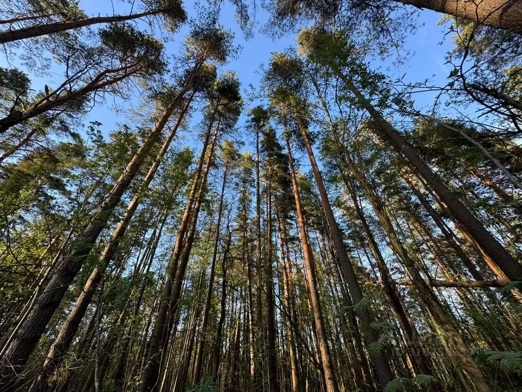 Участок в Ленинградская область, Выборгский район, Полянское с/пос, ... - Фото 0