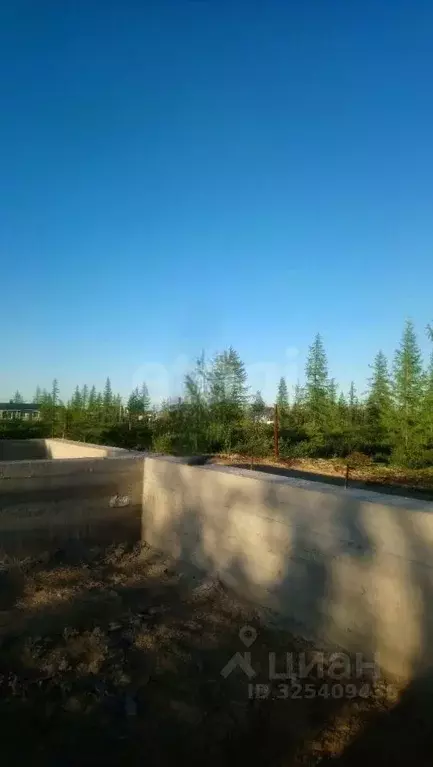 Участок в Ямало-Ненецкий АО, Новый Уренгой Фемида СНТ, ул. Докторская, ... - Фото 2