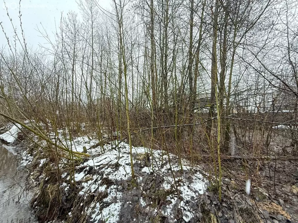 Участок в Череповец, Жасминовая улица (8.29 м) - Фото 1