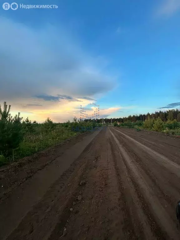 Участок в Бобинское сельское поселение, деревня Большие Раскопины, ... - Фото 1