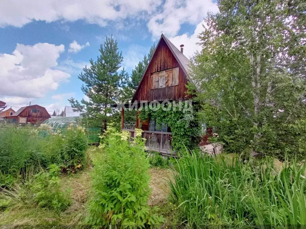 Дом в Новосибирская область, Тогучинский район, Родничок садовое ... - Фото 1