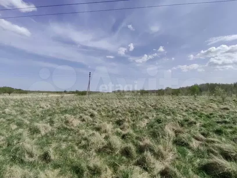 Участок 6,8 сот. (ИЖС) - Фото 1