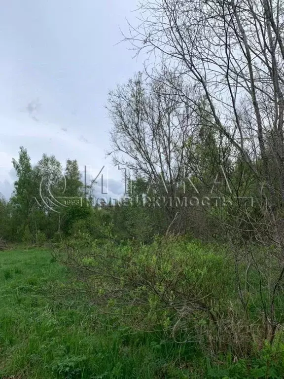 Участок в Ленинградская область, Волховский район, Кисельнинское ... - Фото 2