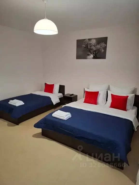 1-к кв. Московская область, Чехов Центральная ул., 41 (41.0 м) - Фото 1