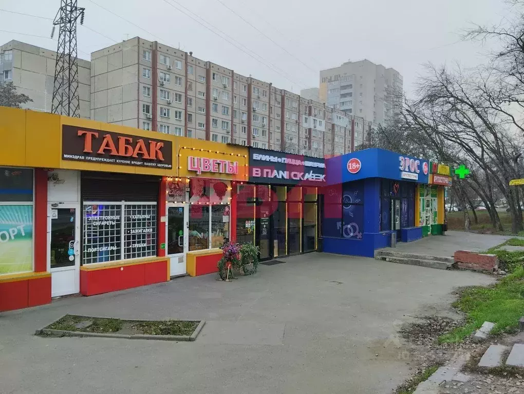 Торговая площадь в Ростовская область, Ростов-на-Дону ул. Еременко, 66 ... - Фото 1