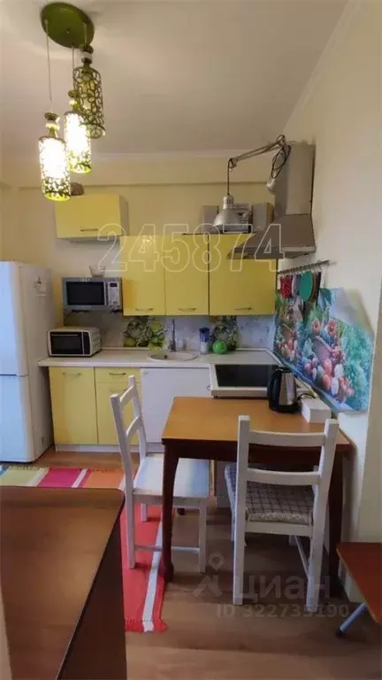 1-к кв. Московская область, Богородский городской округ, д. Щемилово ... - Фото 1