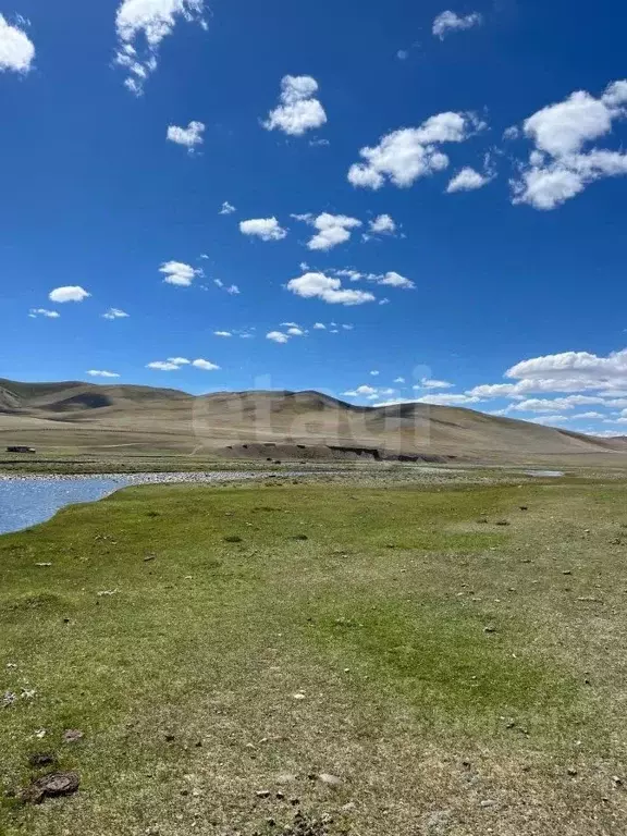 Участок в Алтай, Кош-Агачский район, с. Ташанта  (5250.0 сот.) - Фото 1