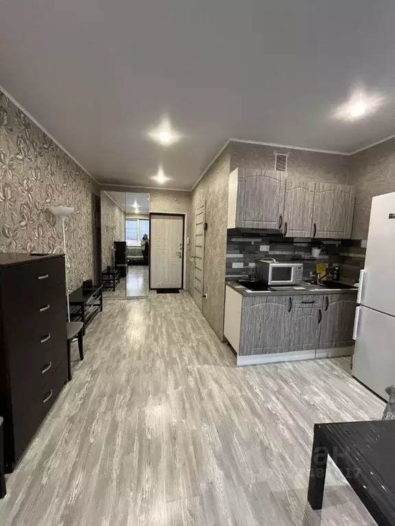 Студия Башкортостан, Уфа ул. Менделеева, 104 (24.0 м) - Фото 1