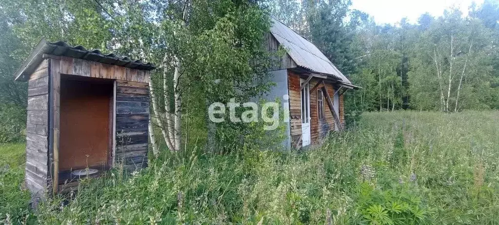 Дом в Владимирская область, Петушинское муниципальное образование, ... - Фото 0