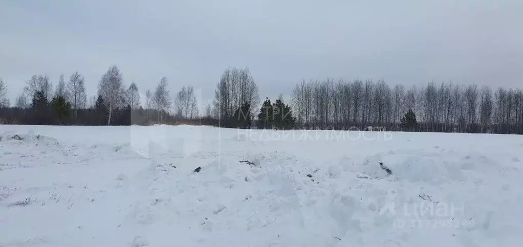 Участок в Тюменская область, Нижнетавдинский район, д. Московка, Чехов ... - Фото 1