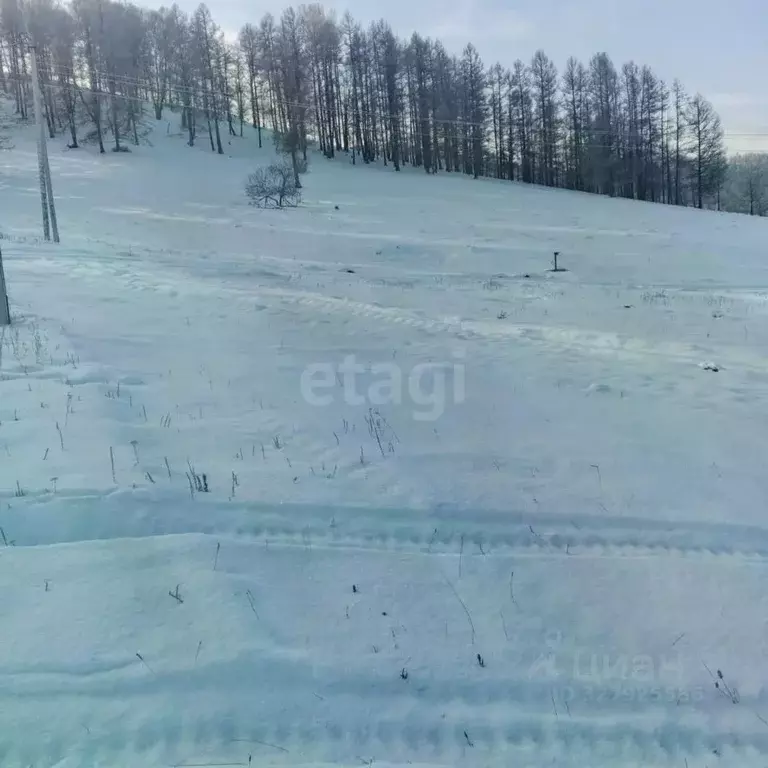 Участок в Алтай, Шебалинский район, с. Шебалино ул. Спортивная, 2А ... - Фото 1