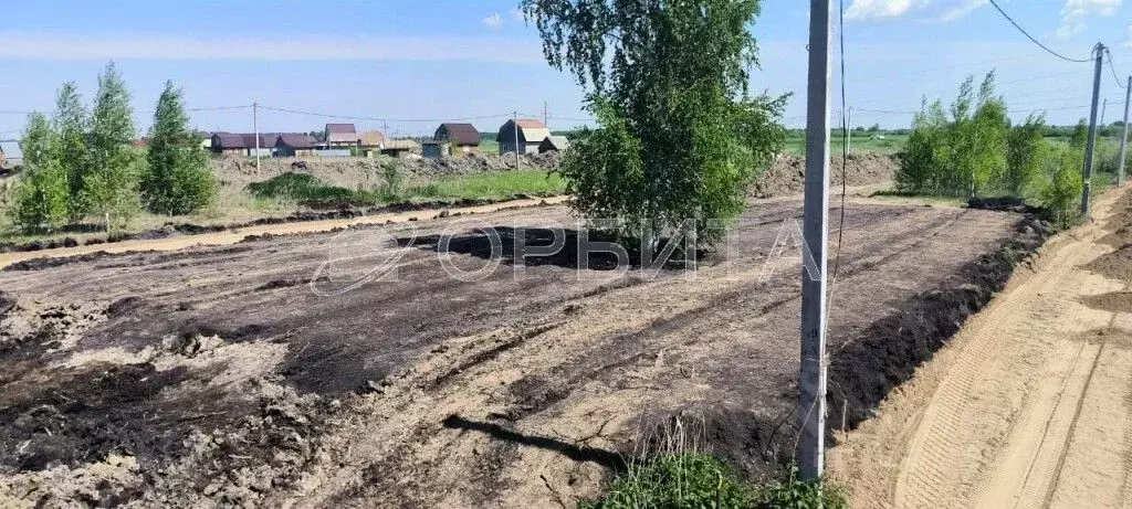 Участок в Тюменская область, Тюменский район, с. Червишево ул. ... - Фото 1