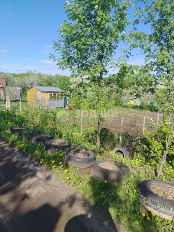 Участок в Чувашия, Чебоксары Заря СНТ, 1091 (5.0 сот.) - Фото 2