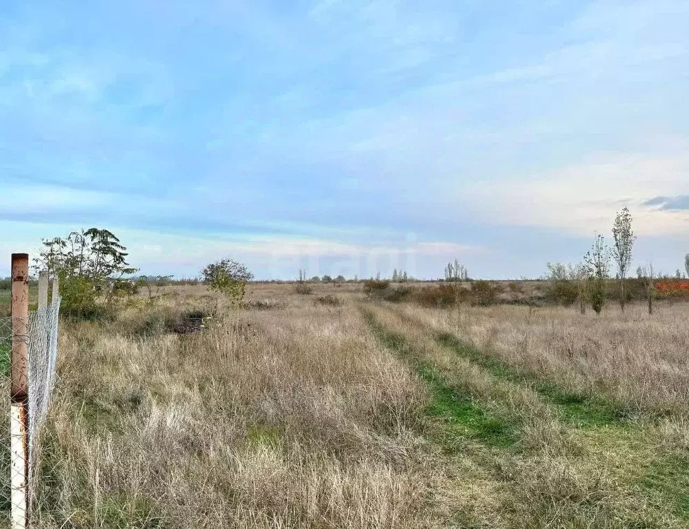 Участок в Крым, Кировский район, Первомайское с/пос, с. Жемчужина ... - Фото 1