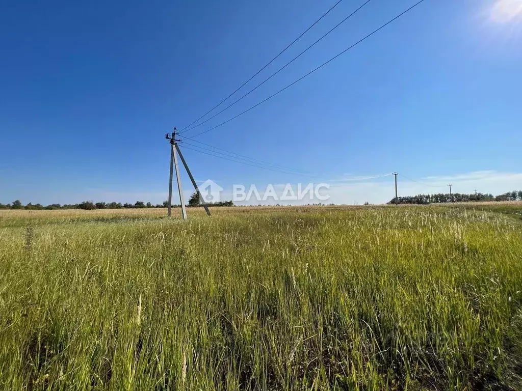 Участок в Пензенская область, Бессоновский район, с. Грабово ул. ... - Фото 0