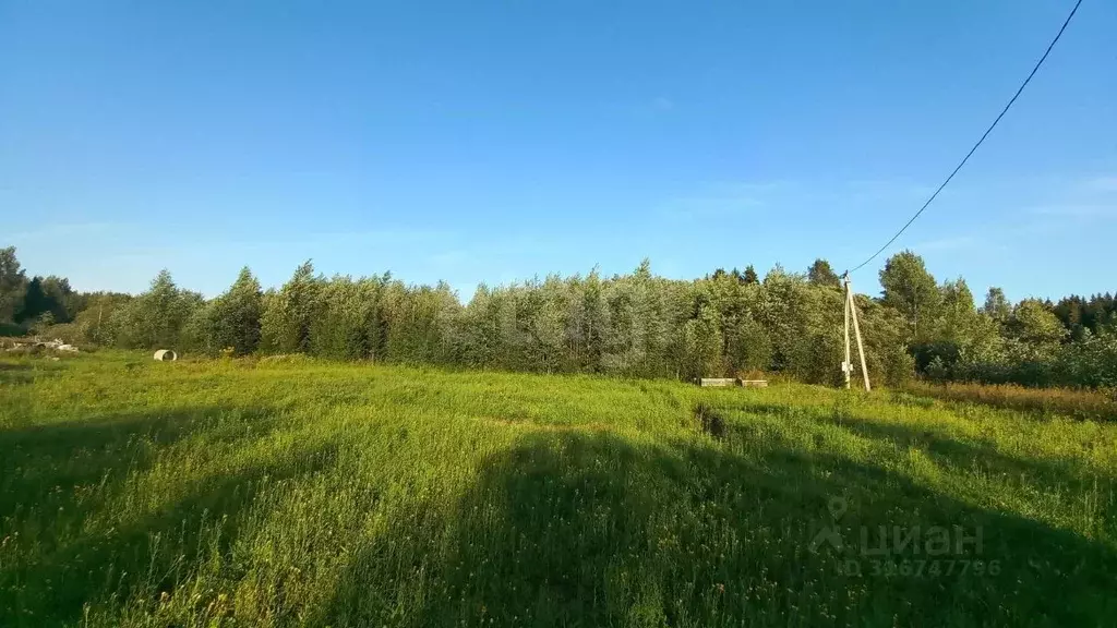 Участок в Ярославская область, Тутаевский муниципальный округ, ... - Фото 1